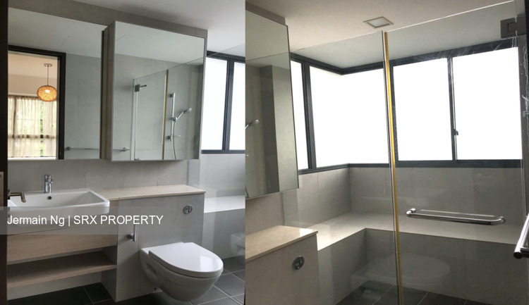 Terrene At Bukit Timah (D21), Condominium #234920751